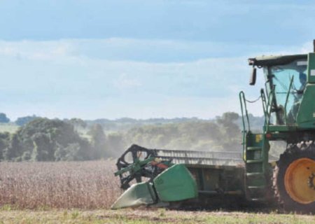 Soja e carne bovina desbancam celulose nas exportações de MS