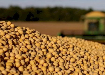 Soja acumula queda de até 4,3% em outubro