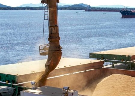 Exportação de soja em 2026 deve atingir recorde de 114 mi de toneladas