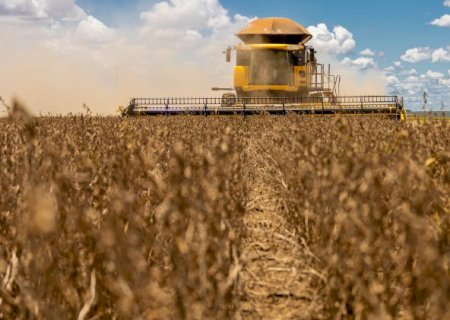Mercado já absorveu 91% da soja e 51% do milho produzido em MS