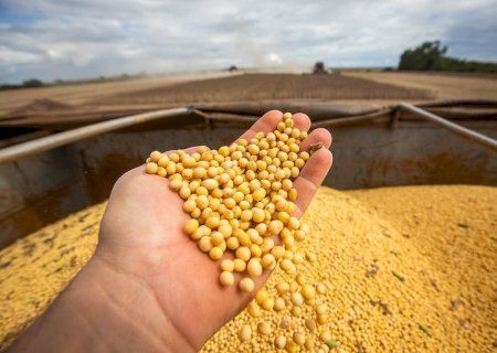 Produção de soja em Mato Grosso pode cair 737 mil toneladas em 2026/27
