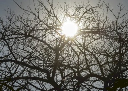 El Niño: agro da Região Centro-Oeste deve antecipar medidas para reduzir efeitos da seca