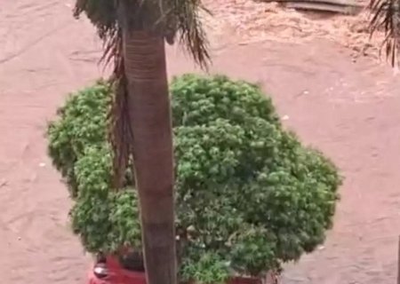 Chuva alaga avenida em Campo Grande e carro fica parcialmente submerso