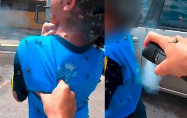 Criança é atacada por abelhas e motociclista leva mais de 40 picadas ao tentar salvá-la