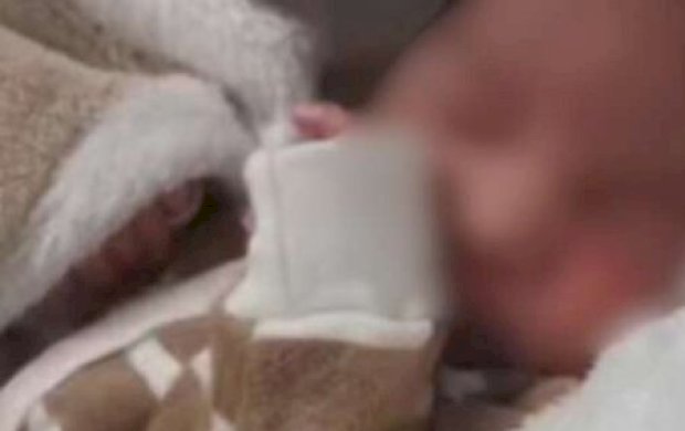 Bebê tem protocolo de morte encefálica aberto e avós são acusados de negligência