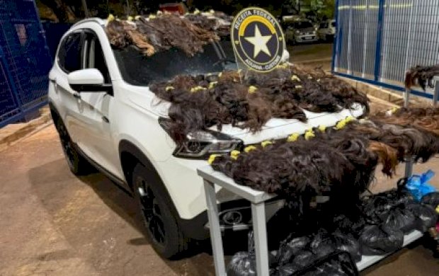 Receita Federal apreende quase 150 kg de cabelo humano avaliado em R$ 1 milhão