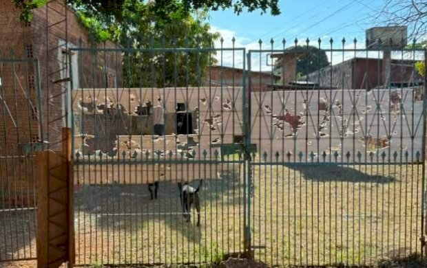 “Não sei se ele vai sobreviver”, diz a mãe que não reconhece o filho queimado