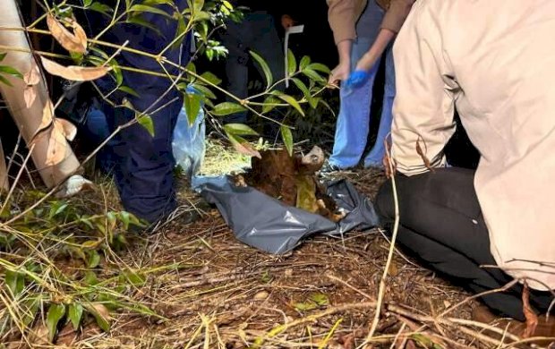 Ossada é encontrada em fazenda e pode ser de homem desaparecido há 3 anos